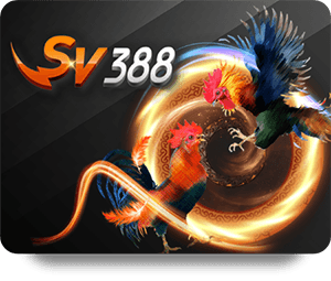 Hướng dẫn chơi tại 33WIN Casino Đẳng Cấp cho người mới